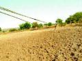 केतुऱ्यात विद्युत तारा टेकल्या जमिनीस - Marathi News | The electric current starred in the earth | Latest chhatrapati-sambhajinagar News at Lokmat.com
