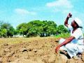 आठ हजार क्विंटल बियाणे पडून - Marathi News | Eight thousand quintals of seed fall | Latest nashik News at Lokmat.com