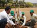 टाकावू बाटल्यांव्दारे ठिबक सिंचन - Marathi News | Drip irrigation through waste bottles | Latest maharashtra News at Lokmat.com
