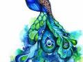 सैलानी वनपरिक्षेत्रात मोराची शिकार - Marathi News | Peacock hunting in the salon forest | Latest vashim News at Lokmat.com