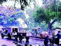 जिल्ह्यात पावसाची हजेरी! - Marathi News | The presence of rain in the district! | Latest pune News at Lokmat.com