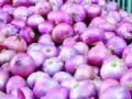 कांद्याची फोडणी महागली - Marathi News | Onion expensive to grow onions | Latest chhatrapati-sambhajinagar News at Lokmat.com