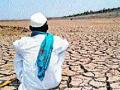 नाशिक जिल्हा दुष्काळी जाहीर करा - Marathi News | Nashik district declares drought | Latest nashik News at Lokmat.com