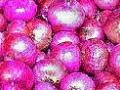 येवल्यात कांद्याची १५ हजार क्विंटल आवक - Marathi News | In Yavali, 15 thousand quintals of onion arrivals | Latest nashik News at Lokmat.com
