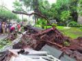 जव्हारमध्ये वृक्ष कोसळला - Marathi News | Tree collapsed in Jawar | Latest mumbai News at Lokmat.com