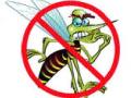 बीडमध्ये आढळले १७ डेंग्यूसदृश्य रुग्ण - Marathi News | 17 dengue cases detected in Beed | Latest chhatrapati-sambhajinagar News at Lokmat.com