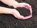 माती नमुना तपासणी दुपटीने महागली ! - Marathi News | Soil sample checks twice! | Latest maharashtra News at Lokmat.com