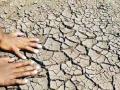 केवळ १ लाख हेक्टरवर पेरणी - Marathi News | Sowing only on one hectare hectare | Latest chhatrapati-sambhajinagar News at Lokmat.com