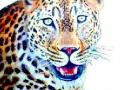 बिबट्याचा हल्ला; दोन जखमी - Marathi News | Leopard attack; Two injured | Latest nashik News at Lokmat.com