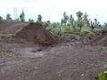 वनविभागाचा मातीबंधारा फुटला - Marathi News | The forest section of the forest is broken | Latest buldhana News at Lokmat.com