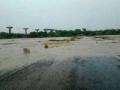 पहिल्याच पावसात पूर्णा नदीला पूर - Marathi News | Purna river floods in the first rain | Latest buldhana News at Lokmat.com