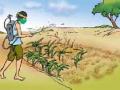 तणनाशकांचा वापर वाढला! - Marathi News | Usage of weedicides increased! | Latest nagpur News at Lokmat.com