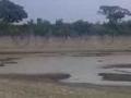 सिंदखेड राजा शहरात १५ दिवसाआड पाणीपुरवठा - Marathi News | Water supply for 15 days in the city of Sindhekhed | Latest buldhana News at Lokmat.com
