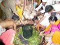वैद्यनाथ मंदिरात भरगच्च कार्यक्रम - Marathi News | Incessant programs in Vaidyanath temple | Latest chhatrapati-sambhajinagar News at Lokmat.com