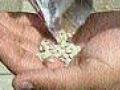अंबाजोगाईत साडेचार लाखांचा गुटखा जप्त - Marathi News | Four lakhs of gaakka seized in Ambajogai | Latest chhatrapati-sambhajinagar News at Lokmat.com