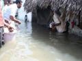 कल्याण-डोंबिवलीत १५० जणांना सुरक्षितस्थळी हलवले - Marathi News | 150 people were evacuated to Kalyan-Dombivli | Latest mumbai News at Lokmat.com