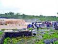 जलप्रपात पाहण्यासाठी उसळली गर्दी - Marathi News | The crowd gathered to see the waterfall | Latest nashik News at Lokmat.com