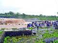 जलप्रपात पाहण्यासाठी उसळली गर्दी : - Marathi News | The crowd gathered to see the waterfall: | Latest nashik News at Lokmat.com