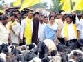 धनगर समाजाच्या मोर्चाने जिल्हा दणाणला - Marathi News | The Dhanagar community's march to the district sadhana | Latest chhatrapati-sambhajinagar News at Lokmat.com