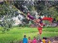 झोका झाडावरुन गॅलरीत...! - Marathi News | From the jhoka tree in the gallery ...! | Latest chhatrapati-sambhajinagar News at Lokmat.com