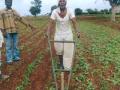 सायकल यंत्राने तीन एकर शेतीची डवरणी - Marathi News | The cycle machinery has three acres of farming | Latest akola News at Lokmat.com