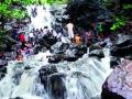 धुके नि गर्द रानातील वाघोबाचा धबधबा - Marathi News | Voghoba waterfalls in the fog and the desert | Latest mumbai News at Lokmat.com