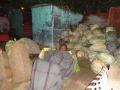 पालेभाज्यांच्या हर्राशी परिसरात विविध समस्या - Marathi News | Various problems in the area surrounding the greenhouse of leafy vegetables | Latest buldhana News at Lokmat.com
