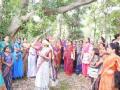 लोकमत सखी मंचची ‘सखी रंगे निसर्गा संगे’ सहल - Marathi News | 'Sakhi Rangey Nissarga Sangge' trip to Lokmat Sakhi Forum | Latest buldhana News at Lokmat.com