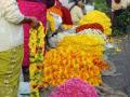 गुलशनाबादमध्ये होतेय पुजेच्या फुलांची आयात - Marathi News | Imports of sacrificial flowers in Gulshanabad | Latest nashik News at Lokmat.com