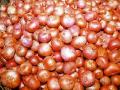 कांदा निर्यातबंदी उठविण्याची मागणी - Marathi News | Demand for lifting of onion export ban | Latest nashik News at Lokmat.com