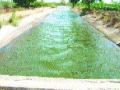 पुणेगाव धरणाचे डाव्या कालव्यास पाणी सोडले - Marathi News | The water left on the left canal of Punegaon dam | Latest nashik News at Lokmat.com