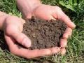 माती परिक्षण प्रयोगशाळांचे बळकटीकरण होणार - Marathi News | The strengthening of soil testing laboratories will be strengthened | Latest vashim News at Lokmat.com