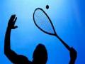 भारतात स्क्वॉशला व्यावसायिक स्वरूप - Marathi News | Professional shape in squash in India | Latest other-sports News at Lokmat.com