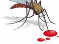 इचोरीत डेंग्यूसदृश आजाराचे थैमान - Marathi News | Infectious Dengueceptive Disease | Latest maharashtra News at Lokmat.com