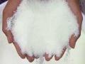 पश्‍चिम विदर्भात ३0 हजार मेट्रिक टन युरियाचा तुटवडा! - Marathi News | 30,000 metric tonnes of urea in western Vidarbha! | Latest maharashtra News at Lokmat.com