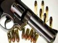 शस्त्रपरवानाधारकांची पडताळणी - Marathi News | Verification of arms providers | Latest buldhana News at Lokmat.com