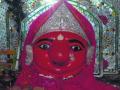 रोहड्याची तपोवनदेवी - Marathi News | Tapovan Devi of Rohida | Latest buldhana News at Lokmat.com