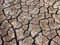 विदर्भात जमिनीला पडल्या भेगा! - Marathi News | Vidarbha falls into the ground! | Latest akola News at Lokmat.com