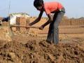 बालकामगार विरोधी कायद्याची अवहेलना - Marathi News | Defy child labor laws | Latest vashim News at Lokmat.com