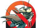 ६ हजारावर घरात आढळले डेंग्यूचे डास - Marathi News | 6000 dengue mosquito found in the house | Latest maharashtra News at Lokmat.com