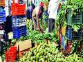 सीताफळाच्या भावात घसरण - Marathi News | Falling prices of Sathapalas | Latest pune News at Lokmat.com