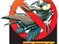 डेंग्यूचा प्रकोप कायमच - Marathi News | Dengue Fury Forever | Latest nagpur News at Lokmat.com