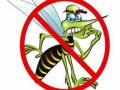 डेंग्यूच्या नियंत्रणासाठी उपाययोजना - Marathi News | Measures to control dengue | Latest akola News at Lokmat.com