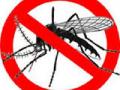 डेंगी-मलेरियापासून डोंबिवली सेफ ! - Marathi News | Dangi-Malaria from Dombivli safe! | Latest mumbai News at Lokmat.com