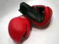 आठ अविवाहित महिला बॉक्सरची जबरीने गर्भ चाचणी - Marathi News | Eight unmarried female boxer succumbed to pregnancy test | Latest other-sports News at Lokmat.com