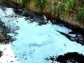 कुल्र्यात पेट्रोलची पाइपलाइन फुटली - Marathi News | Petrol pipe spill in Kolra | Latest mumbai News at Lokmat.com