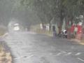 अर्धा तास कोसळला अवकाळी पाऊस - Marathi News | Rain falls for half an hour | Latest buldhana News at Lokmat.com