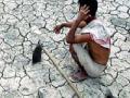 अर्धा महाराष्ट्र दुष्काळग्रस्त! - Marathi News | Half Maharashtra drought! | Latest maharashtra News at Lokmat.com