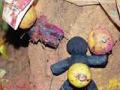 ‘नरबळी घटनेमागे सूत्रधाराची शक्यता’ - Marathi News | 'The possibility of a succession behind the incident' | Latest maharashtra News at Lokmat.com