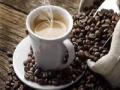 कॉफी निर्यातीत यंदा होणार वाढ - Marathi News | Coffee exports will increase this year | Latest business News at Lokmat.com